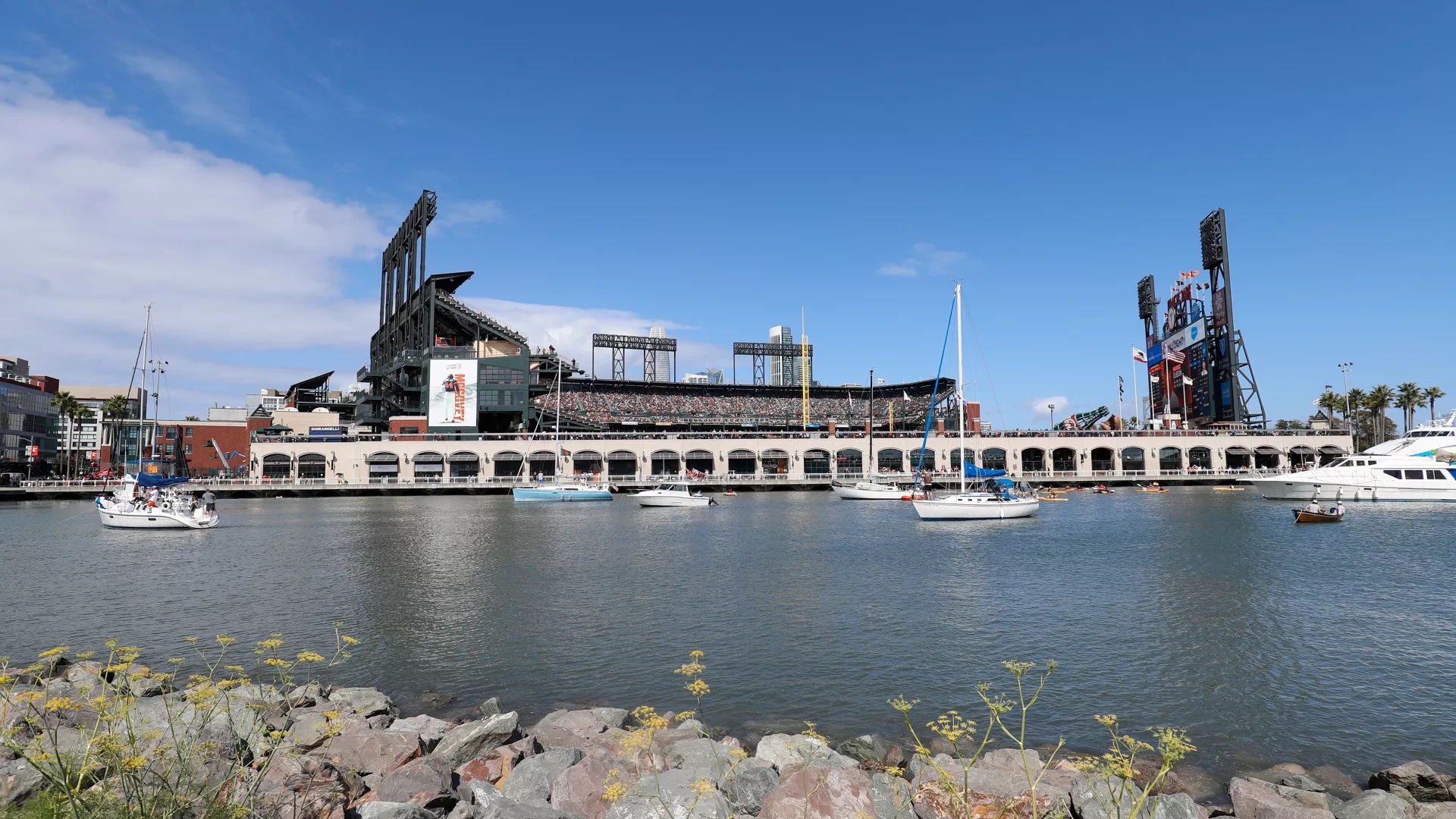 Mccovey Cove