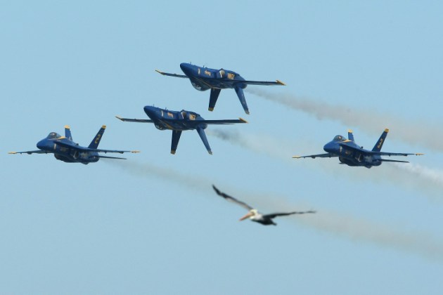 Blue Angels