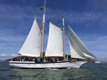 Bay lady Sailing by Angel Island